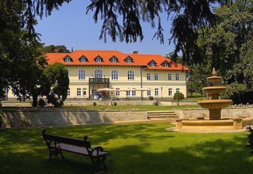 balaton borkostoló