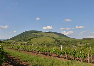 eger bor